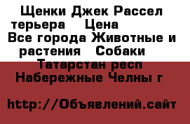 Щенки Джек Рассел терьера  › Цена ­ 15 000 - Все города Животные и растения » Собаки   . Татарстан респ.,Набережные Челны г.